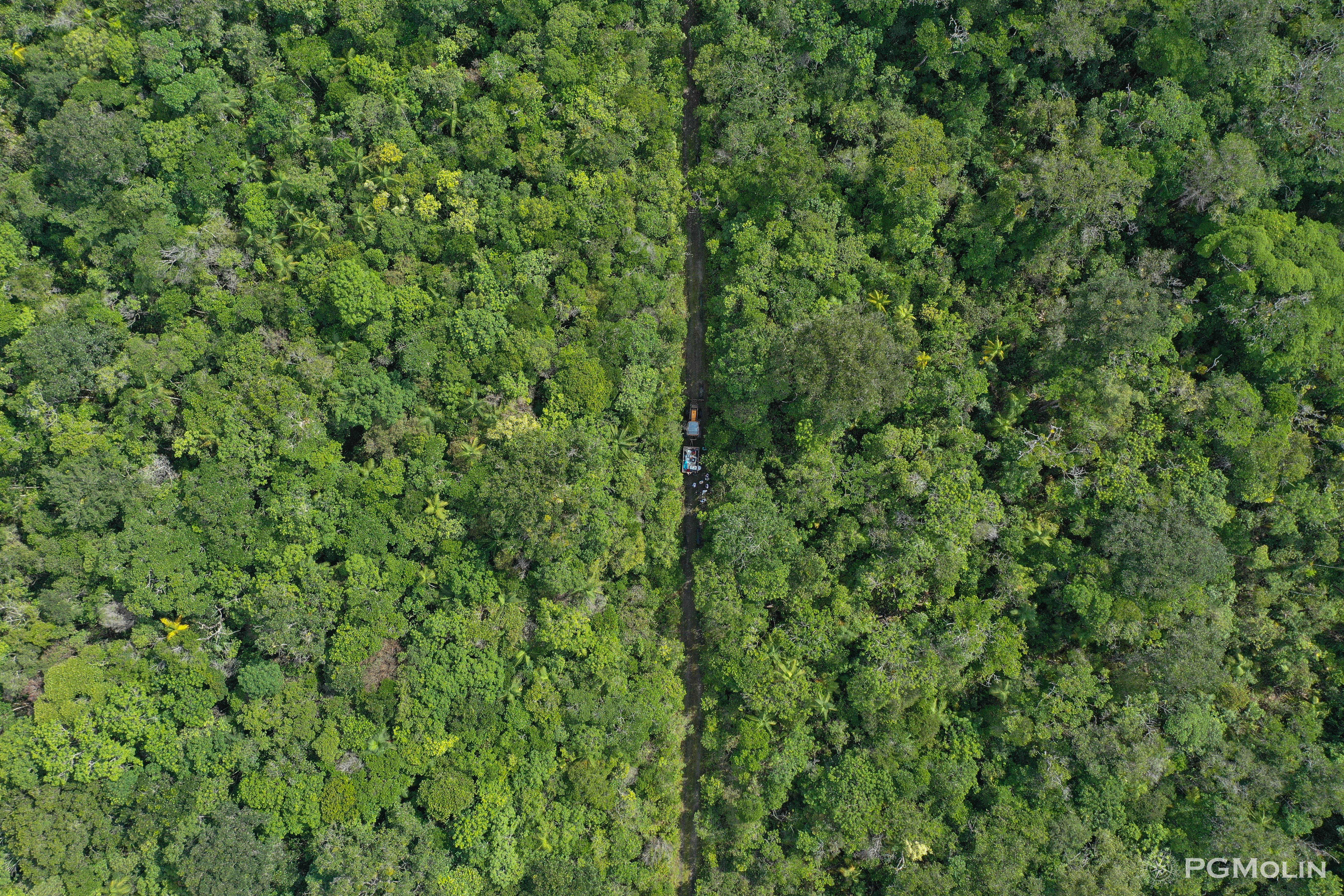 Science puts on a spurt to catalogue the Amazon biodiversity