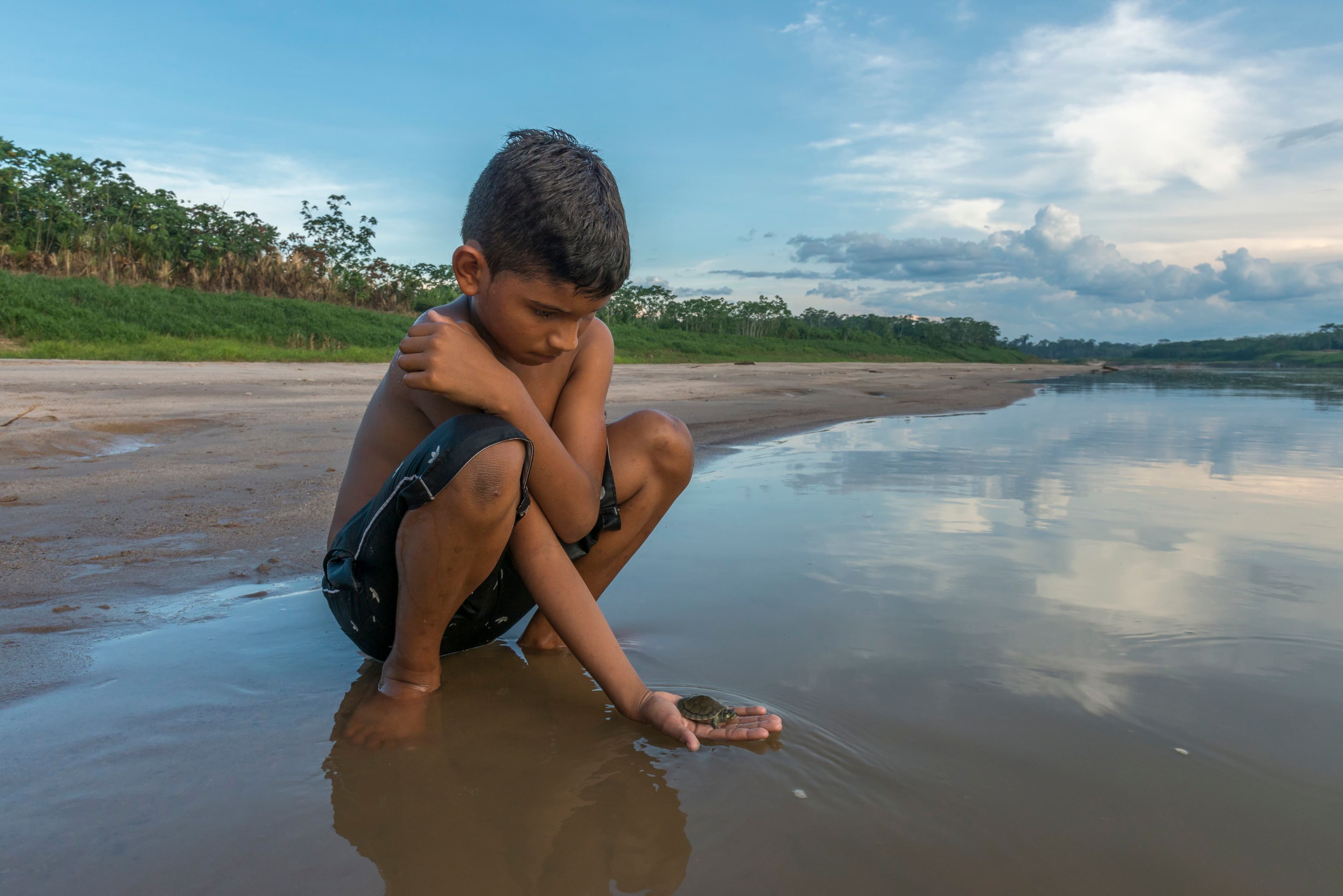 Divulgação1_Eliz Tessinari_SOS Amazônia (6).jpg