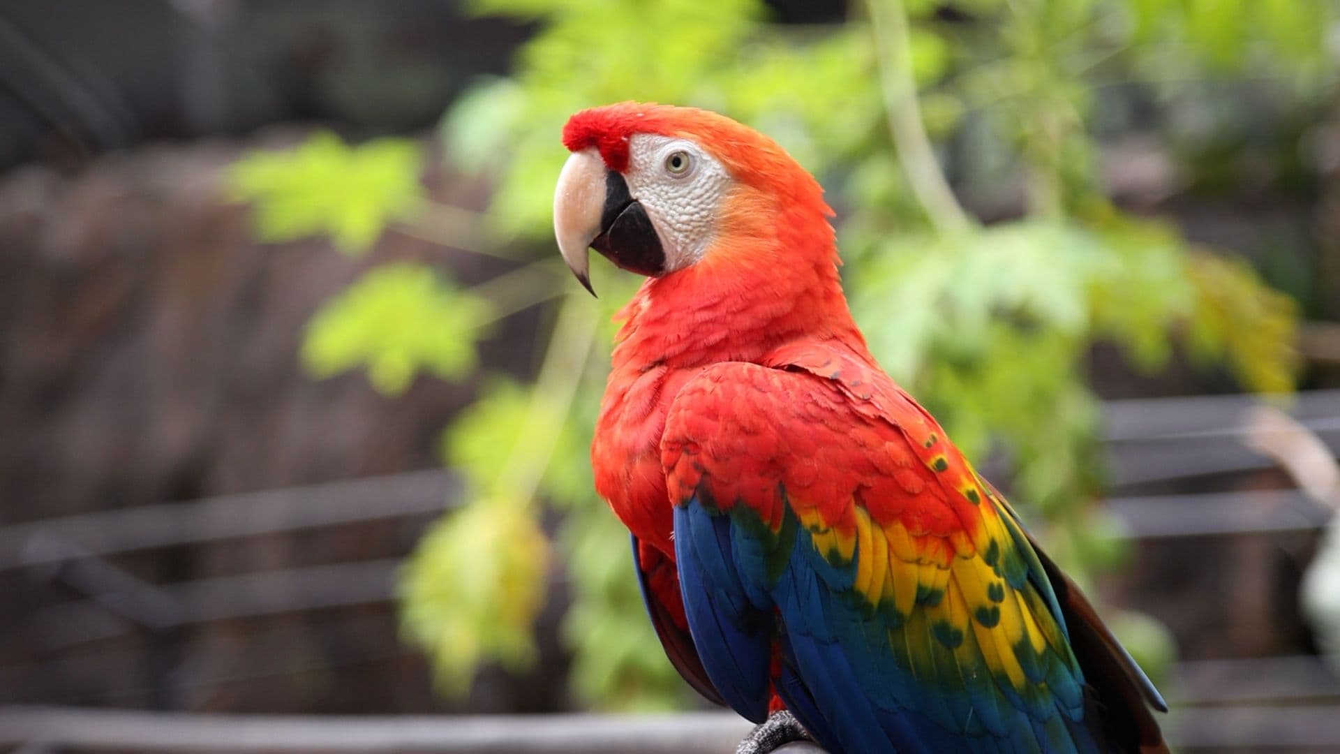 bioparque da amazônia da vale - ft- márcio nagano (10).jpg